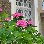 Schloss Huerbel Storchennest-appartement - Luxury The Stork Nest Appartement