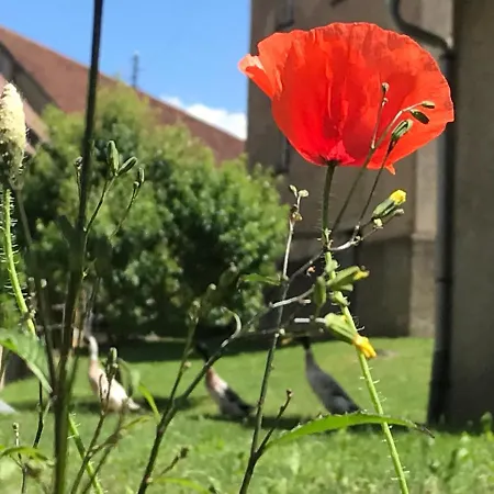 Lejlighed Schloss Huerbel Storchennest-appartement - Luxury The Stork Nest Gutenzell-Hürbel