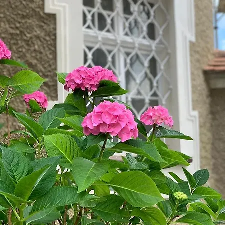 Schloss Huerbel Storchennest-appartement - Luxury The Stork Nest Lejlighed